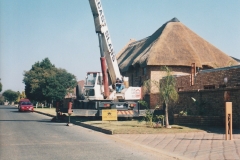 Thatched Housing